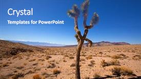  Presentation with snow tree - Cool new slide deck with death valley joshua tree yucca backdrop and a  colored foreground