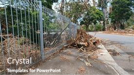  Presentation with roadside - Presentation having debris-from-trees-and-vegetation background and a gray colored foreground