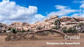  Presentation with dying - Cool new slides with decades-of-growth backdrop and a coral colored foreground