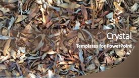  Presentation with fall - Theme having decay - leaf textures macro decaying leaves background and a tawny brown colored foreground