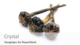 Presentation with garlic - Presentation theme enhanced with decayed-garlic-isolated-on-white background and a white colored foreground