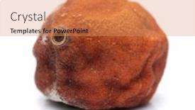  Presentation with orange - PPT theme having decayed-orange-isolated-on-white background and a coral colored foreground