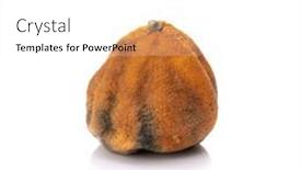  Presentation with orange - Presentation featuring decayed-orange-isolated-on-white background and a white colored foreground