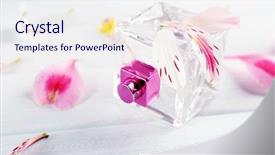  Presentation with flower and perfume - Beautiful slides featuring decent floral - bottle of perfume and flowers backdrop and a  colored foreground