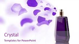  Presentation with rose petal corner frame - Colorful PPT theme enhanced with decent floral - perfume bottle spraying colorful rose backdrop and a  colored foreground