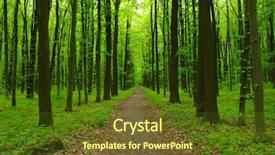  Presentation with tree sky trees green - PPT layouts enhanced with deciduous - forest trees nature green wood background and a tawny brown colored foreground