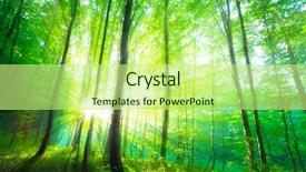  Presentation with mountains forests green forest - Cool new PPT theme with deciduous - sunlight in the green forest backdrop and a mint green colored foreground