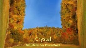  Presentation with fall colors - Presentation design consisting of deciduous-and-coniferous-forest background and a tawny brown colored foreground