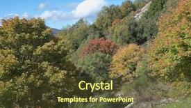  Presentation with woods - Theme featuring deciduous autumnal woods in nebrodi background and a tawny brown colored foreground