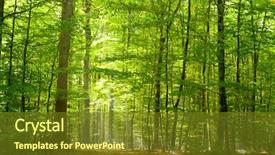  Presentation with summer - Amazing slides having deciduous forest in summer backdrop and a tawny brown colored foreground