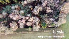  Presentation with pine forest - Colorful slide deck enhanced with deciduous pine forest above aerial backdrop and a gray colored foreground