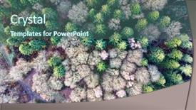  Presentation with pine forest - PPT theme having deciduous pine forest from above background and a ocean colored foreground