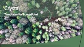 Presentation with pine forest - Audience pleasing slides consisting of deciduous pine forest from above backdrop and a gray colored foreground