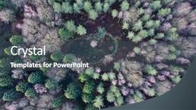  Presentation with pine forest - Theme featuring deciduous pine forest from above background and a dark gray colored foreground