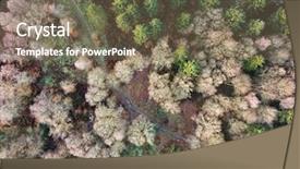  Presentation with woodland - Colorful PPT theme enhanced with deciduous woodland footpath clearing winter backdrop and a violet colored foreground