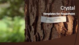  Presentation with decision - Theme consisting of decision tree - fortune message you stand background and a wine colored foreground