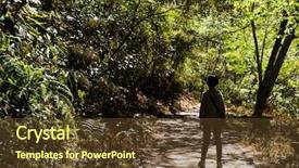  Presentation with hiking - Beautiful PPT theme featuring decision tree - traveling asian woman hiking backdrop and a tawny brown colored foreground