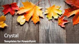  Presentation with autumn wood - Audience pleasing presentation theme consisting of deck copy place for inscription backdrop and a gray colored foreground