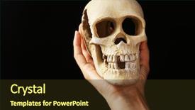  Presentation with human body - Presentation theme having decompose body - human skull in hand background and a  colored foreground