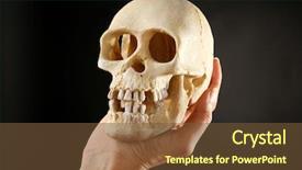  Presentation with skull - Audience pleasing theme consisting of decompose body - human skull in hand backdrop and a  colored foreground