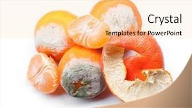  Presentation with group - Audience pleasing slides consisting of decomposers - group of mouldy rotten mandarins backdrop and a lemonade colored foreground