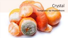  Presentation with group of wildlife crocodile isolated - Theme featuring decomposers - group of mouldy rotten mandarins background and a lemonade colored foreground