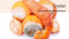  Presentation with group - Cool new PPT theme with decomposers - group of mouldy rotten mandarins backdrop and a coral colored foreground
