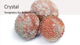  Presentation with group dairy fruit desserts - Theme enhanced with decomposers - group of rotten lychees fruits background and a lemonade colored foreground