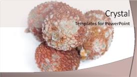  Presentation with fruits - Beautiful theme featuring decomposers - group of rotten lychees fruits backdrop and a soft green colored foreground