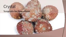  Presentation with fruits - PPT layouts with decomposers - group of rotten lychees fruits background and a coral colored foreground