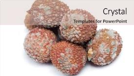  Presentation with fruits - Audience pleasing PPT layouts consisting of decomposers - group of rotten lychees fruits backdrop and a soft green colored foreground