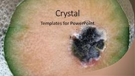  Presentation with bad - Amazing theme having decomposers - image of a very bad backdrop and a coral colored foreground