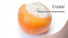  Presentation with white - Beautiful PPT theme featuring decomposers - mouldy rotten mandarin isolated backdrop and a pink colored foreground