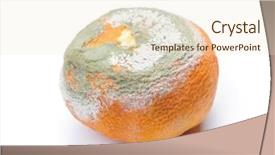  Presentation with mandarin fruits - PPT theme having decomposers - mouldy rotten mandarin isolated background and a lemonade colored foreground