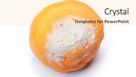  Presentation with white - Slides enhanced with decomposers - mouldy rotten mandarin isolated background and a yellow colored foreground