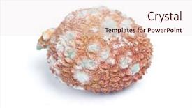  Presentation with fruit lychee - Theme having decomposers - one rotten lychee fruit isolated background and a lemonade colored foreground