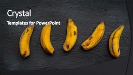  Presentation with green bananas hanging on banana - Slide deck featuring decomposers - overripe bananas on dark background background and a dark gray colored foreground