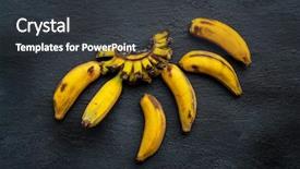  Presentation with green bananas hanging on banana - PPT layouts enhanced with decomposers - overripe bananas on dark background background and a dark gray colored foreground