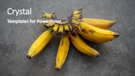  Presentation with dark - Amazing slide deck having decomposers - overripe bananas on dark background backdrop and a gray colored foreground