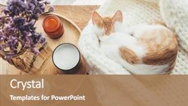  Presentation with ginger - PPT theme consisting of decor near the window fall background and a coral colored foreground