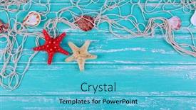  Presentation with blue eyes technology close up - Theme with decor of seashells close-up on blue wooden table background and a teal colored foreground