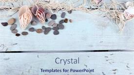  Presentation with decor - Cool new presentation design with decor of seashells close-up on blue wooden table backdrop and a sky blue colored foreground