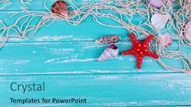  Presentation with decor - Cool new presentation theme with decor of seashells close-up on blue wooden table backdrop and a light blue colored foreground