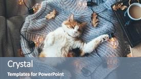  Presentation with led lights - PPT layouts with decorated with led lights winter background and a seafoam green colored foreground