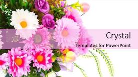  Presentation with decoration - Colorful presentation theme enhanced with decoration artificial flower backdrop and a lavender colored foreground