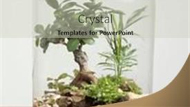  Presentation with save earth - Presentation consisting of decoration-bonsai-in-a-glass and a soft green colored foreground
