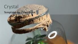  Presentation with save earth - Presentation theme consisting of decoration-bonsai-in-a-glass and a light gray colored foreground
