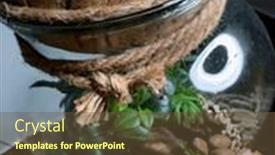  Presentation with save earth - Slide set featuring decoration-bonsai-in-a-glass and a tawny brown colored foreground