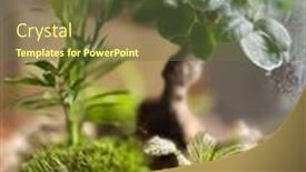  Presentation with save earth - PPT layouts consisting of decoration-bonsai-in-a-glass and a tawny brown colored foreground
