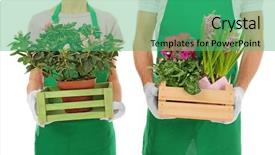  Presentation with white house - PPT theme consisting of decoration cyclamen - two florists holding house plants background and a  colored foreground
